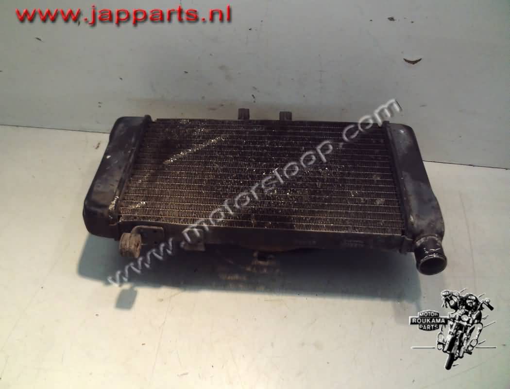 Honda NTV650(RC33) Radiateur met koelvin