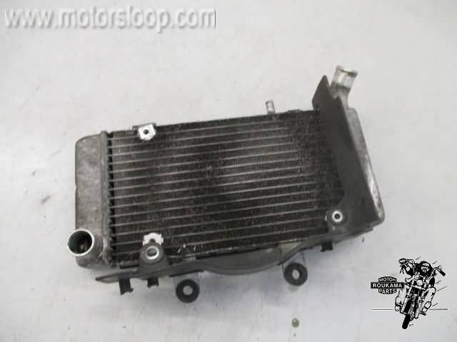 Honda VFR800FI(RC46) Radiateur 1