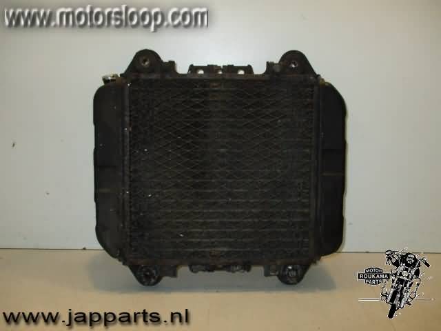 Kawasaki ZZR250(EX250) Radiateur
