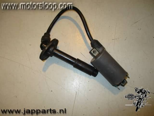 Kawasaki ZZR250(EX250) Bobine