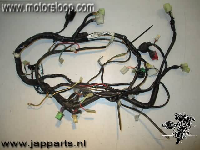 Kawasaki ZZR250(EX250) Wire harness