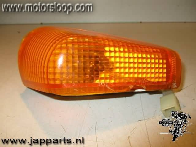 Kawasaki ZZR250(EX250) Intermitente delantera izquierda