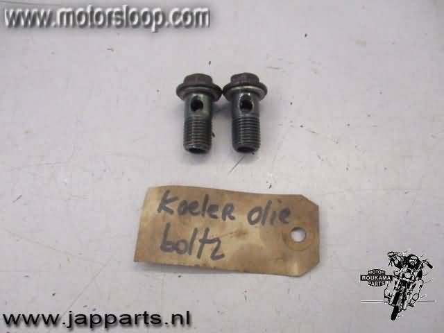 Kawasaki ZZR600E Oil cleaner bolts