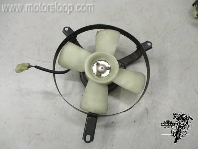 Kawasaki ZX-10(ZXT00B) Koelvin