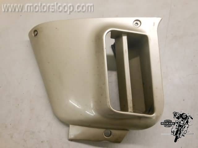 Kawasaki ZG1200(ZG9B) Kuipdeel links