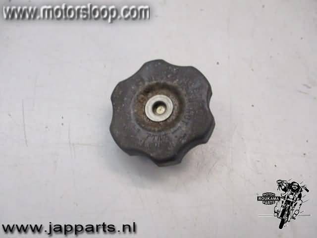 Kawasaki ZX-9R(ZX900E) Radiateurdop