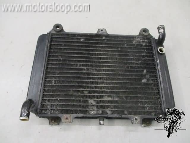 Kawasaki GPX600R Radiateur