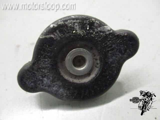 Kawasaki ZX-9R Radiateurdop