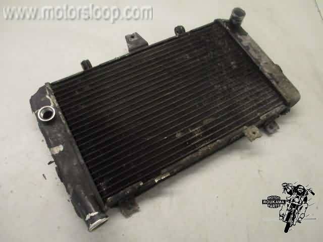 Kawasaki ZRX1200S Radiateur