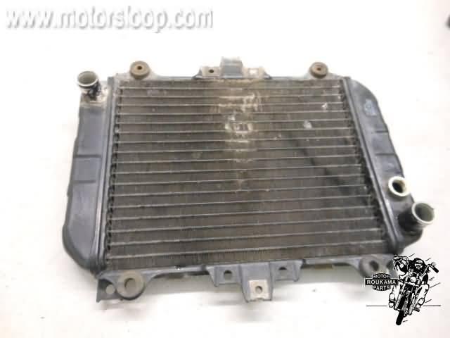 Kawasaki KLE500 Radiator 39060-1084