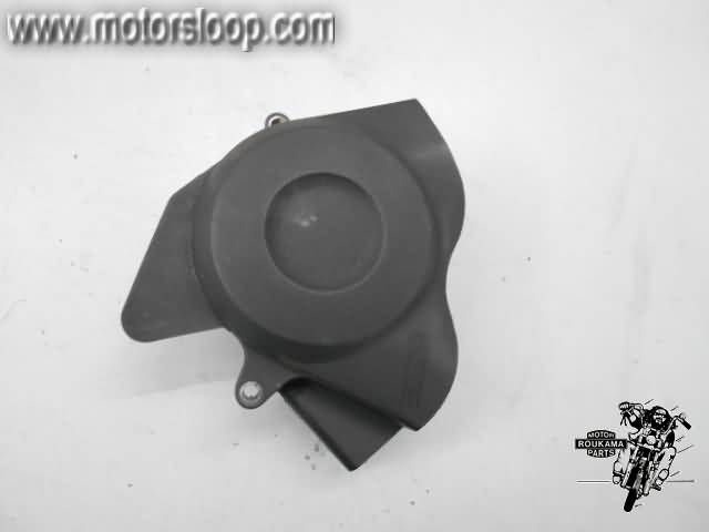 Kawasaki ER-6N(ER650A) Tapa pinon