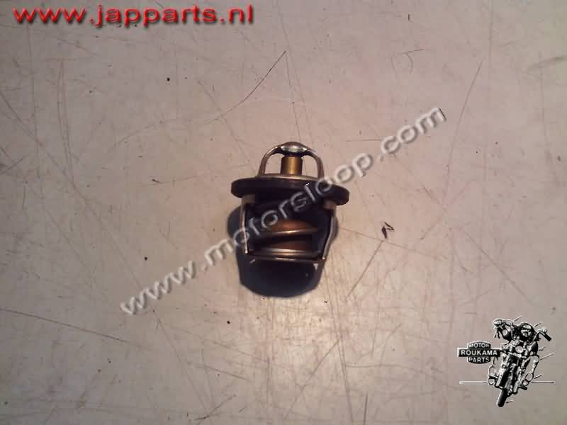 Suzuki AN400 Thermostat