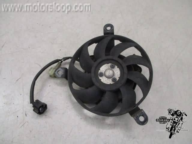 Suzuki DL650(B1111) Koelvin