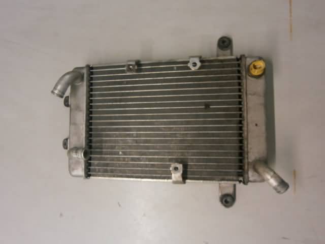 Suzuki AN400 Radiateur 02201