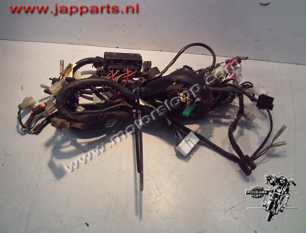 Yamaha FZS600 Cables principal