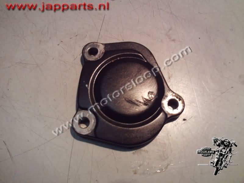 Yamaha YZF-R1(RN191) Engine cover