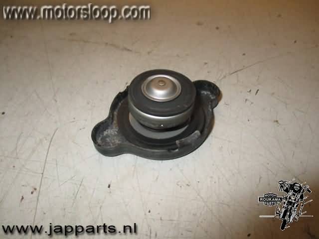 Yamaha YZF600R(4TV) Radiateurdop