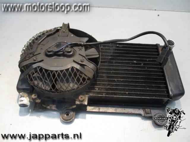 Yamaha XTZ660(3YF) Radiateur met koelvin